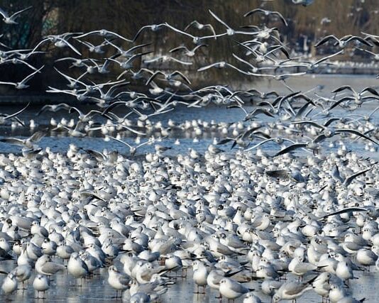 Czy zakup działki to dobra inwestycja? Czy zakup działki to dobra inwestycja?