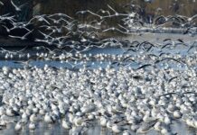 Jakie działki są najbardziej poszukiwane?