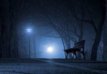 Czy polskie studia są uznawane za granicą?