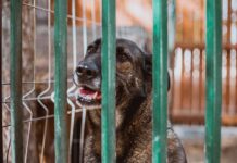 Co robić gdy dziecko tęskni w przedszkolu?