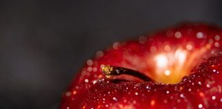 Czy zleceniobiorca może korzystać z pakietu benefitów przysługujących pracownikom danego pracodawcy?