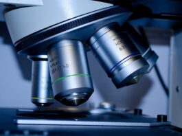 Ile kosztują studia w Amsterdamie?