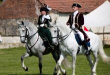 Ile kun wchodzi na 1 €?