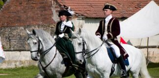 Ile kun wchodzi na 1 €? Ile kun wchodzi na 1 €?