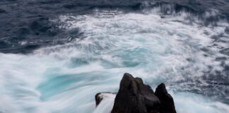 Czy ceny działek będą spadać?