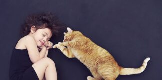 Komu należy się opiekunka z pomocy społecznej?