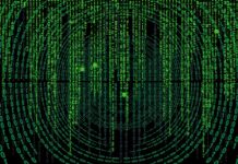 Jak wymiana walut bez prowizji?