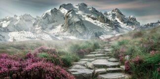 Kto ma płacone z góry?