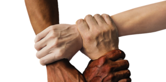 Co lepiej trzymać euro czy dolary?