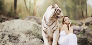 Jakie E są niebezpieczne?