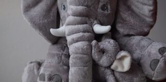 Jak zachęcić rodziców do współpracy ze szkołą?