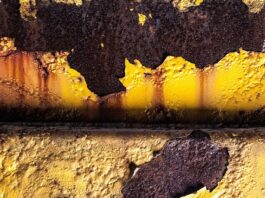 Ile osób odpada po pierwszym semestrze?